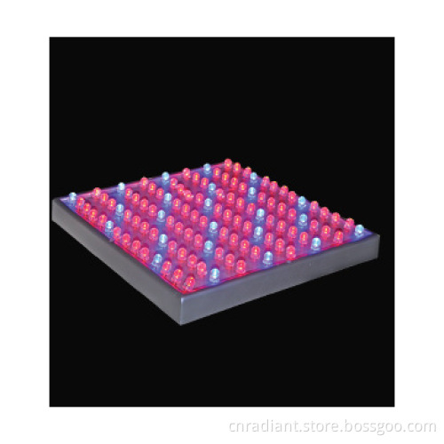 LED Plant-Grow Light,14w, panel, Red+Blue,CE